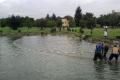 img00049