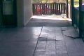 img00002