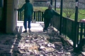 img00005