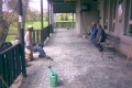 img00016