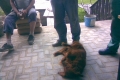 img00017